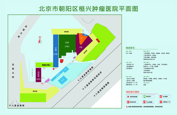 大鸡巴喜欢操逼网站视频北京市朝阳区桓兴肿瘤医院平面图